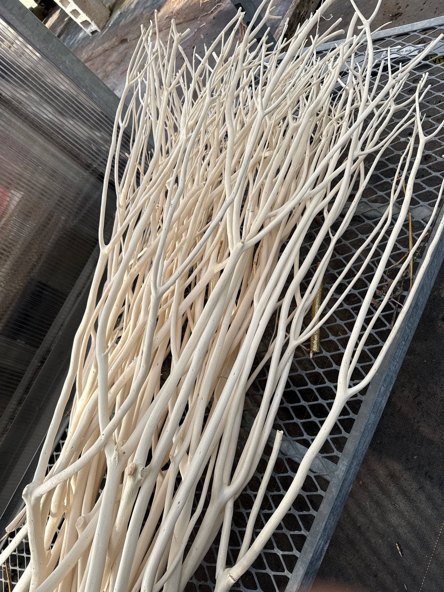 Stick White Wash Multi Branch - Mitsumata