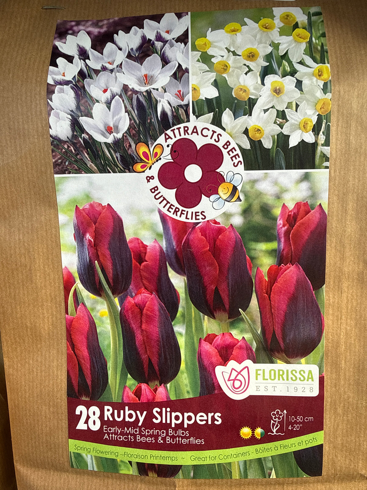 Ruby Slippers Pollinator Bulbs