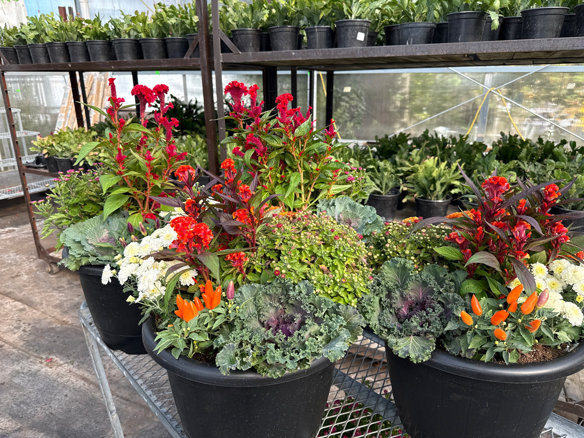 14" Fall Mixed Planter