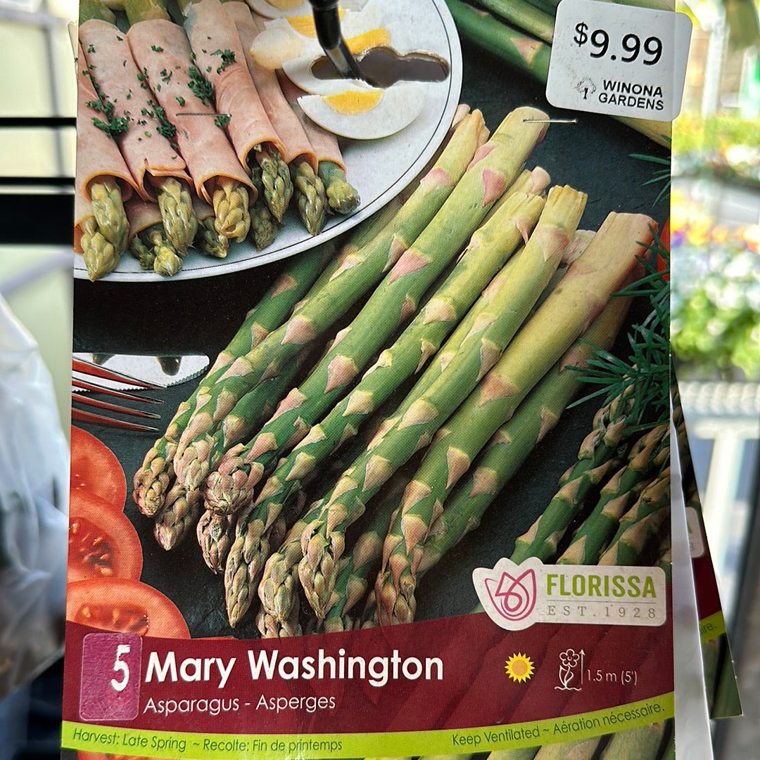 Asparagus Crowns