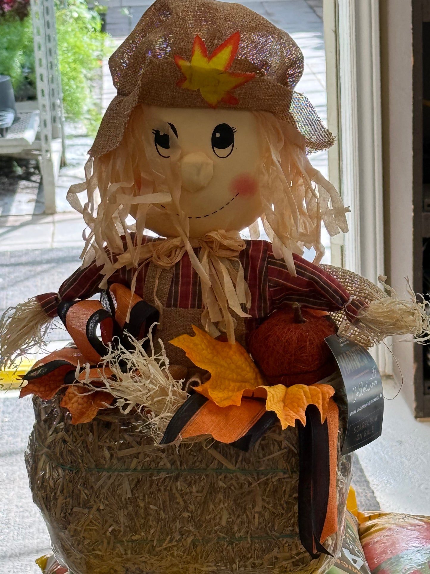 Scarecrow on Bale if Straw