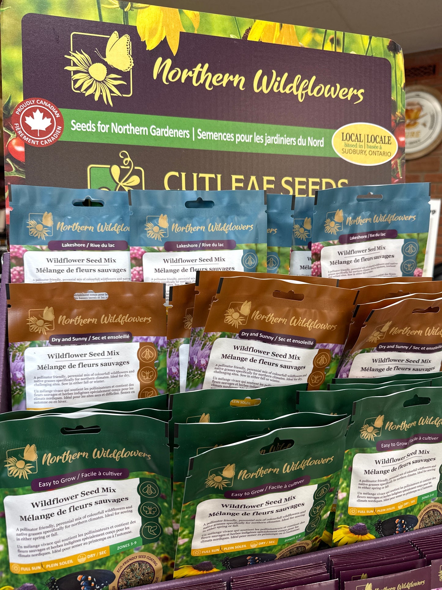 Northern Wildflowers - Large Wildflower Seed Packs