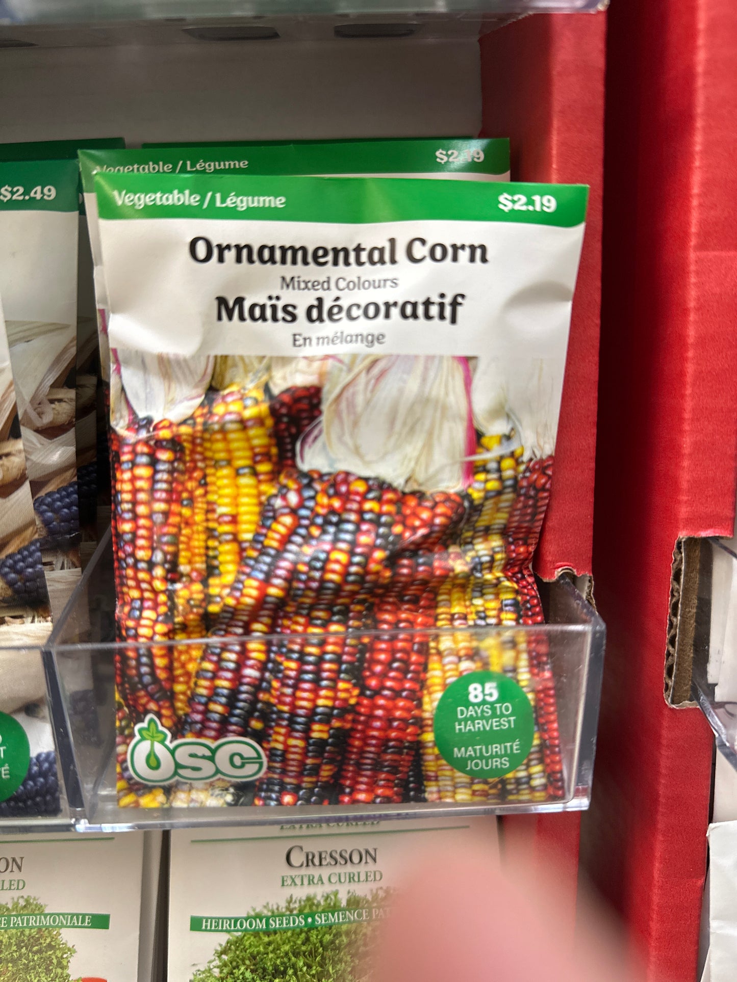 Seed Packets - Vegetables (Corn)