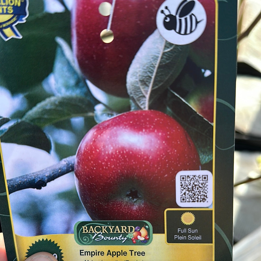 Apple Trees
