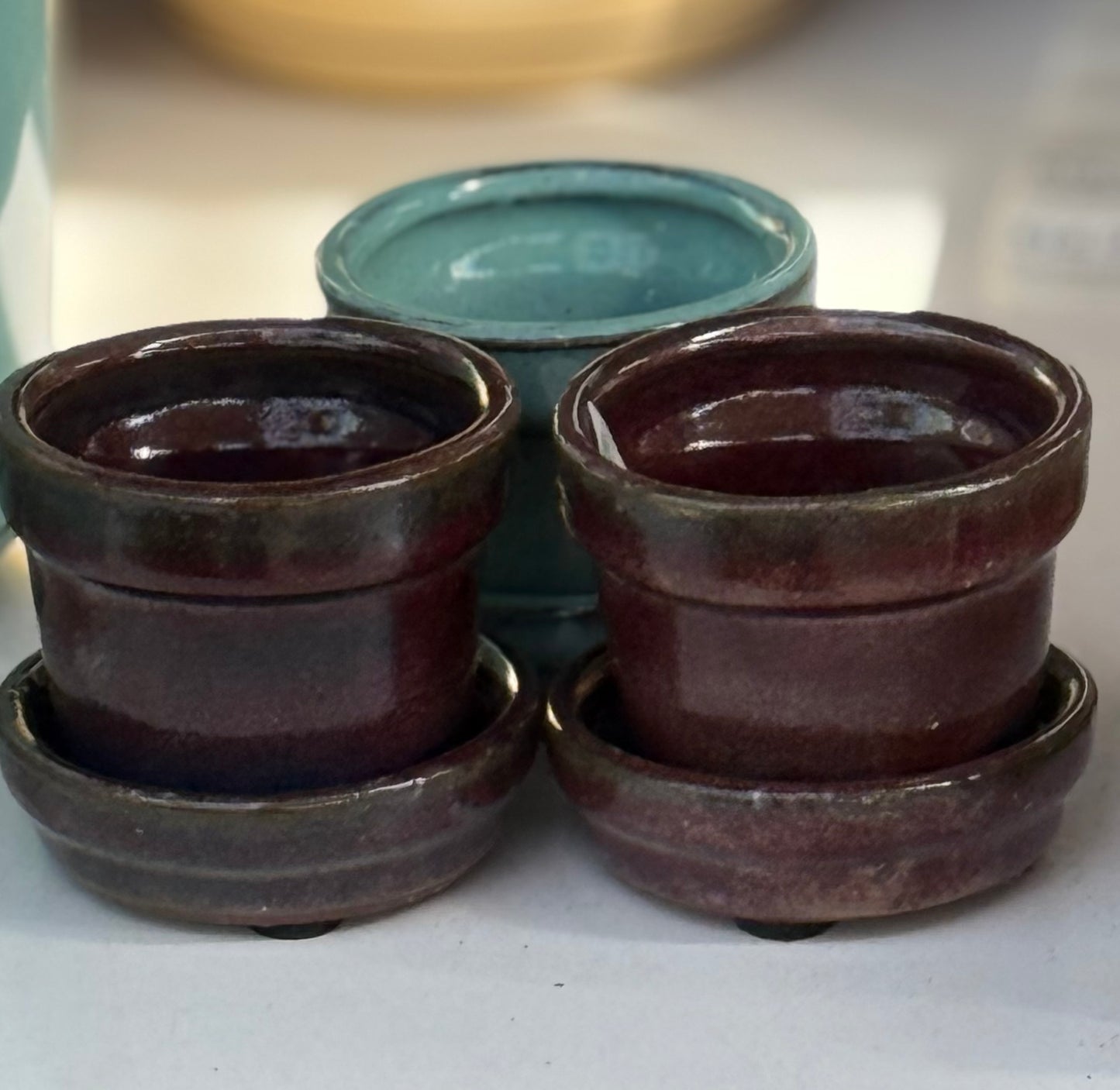MIni Ceramic Planter with attached Saucer