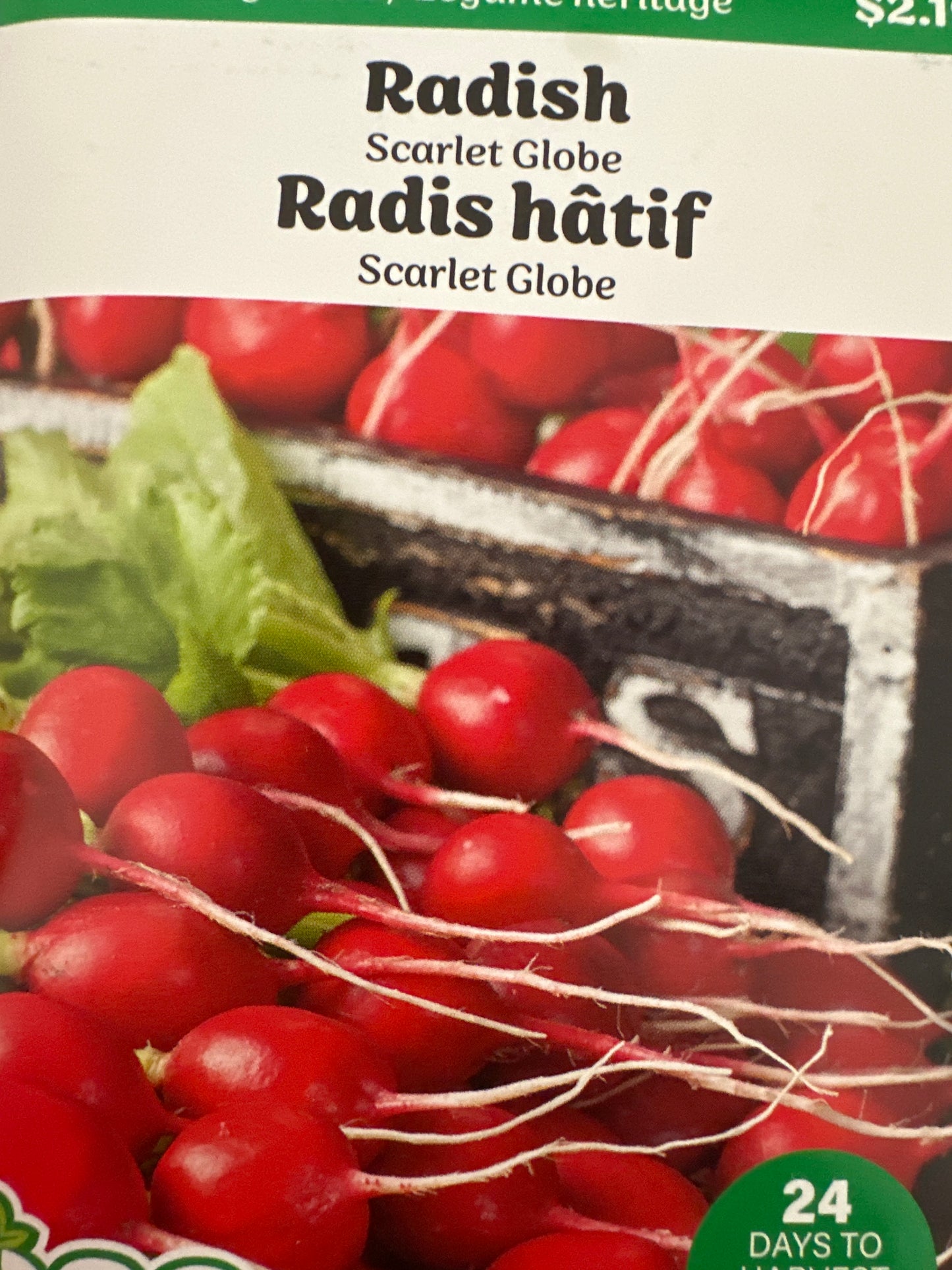 Seed Packets - Vegetable (Root)