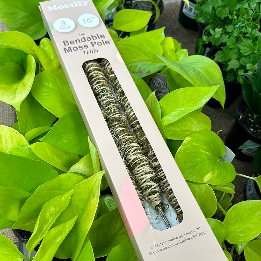 Bendable Moss Poll - 3 pack