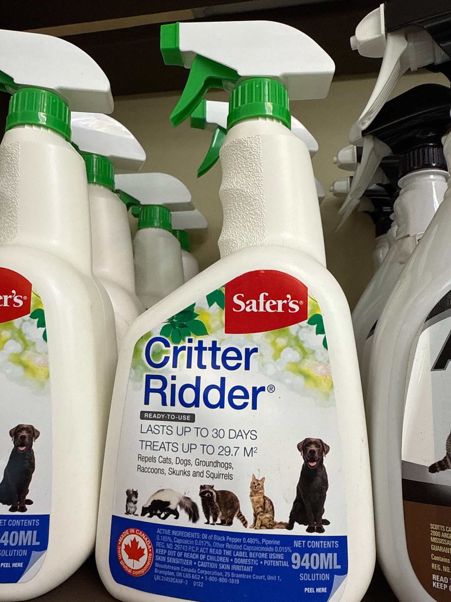 Critter Ridder