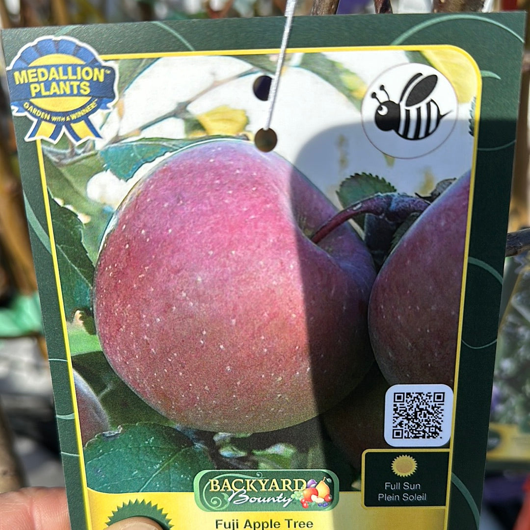 Apple Trees