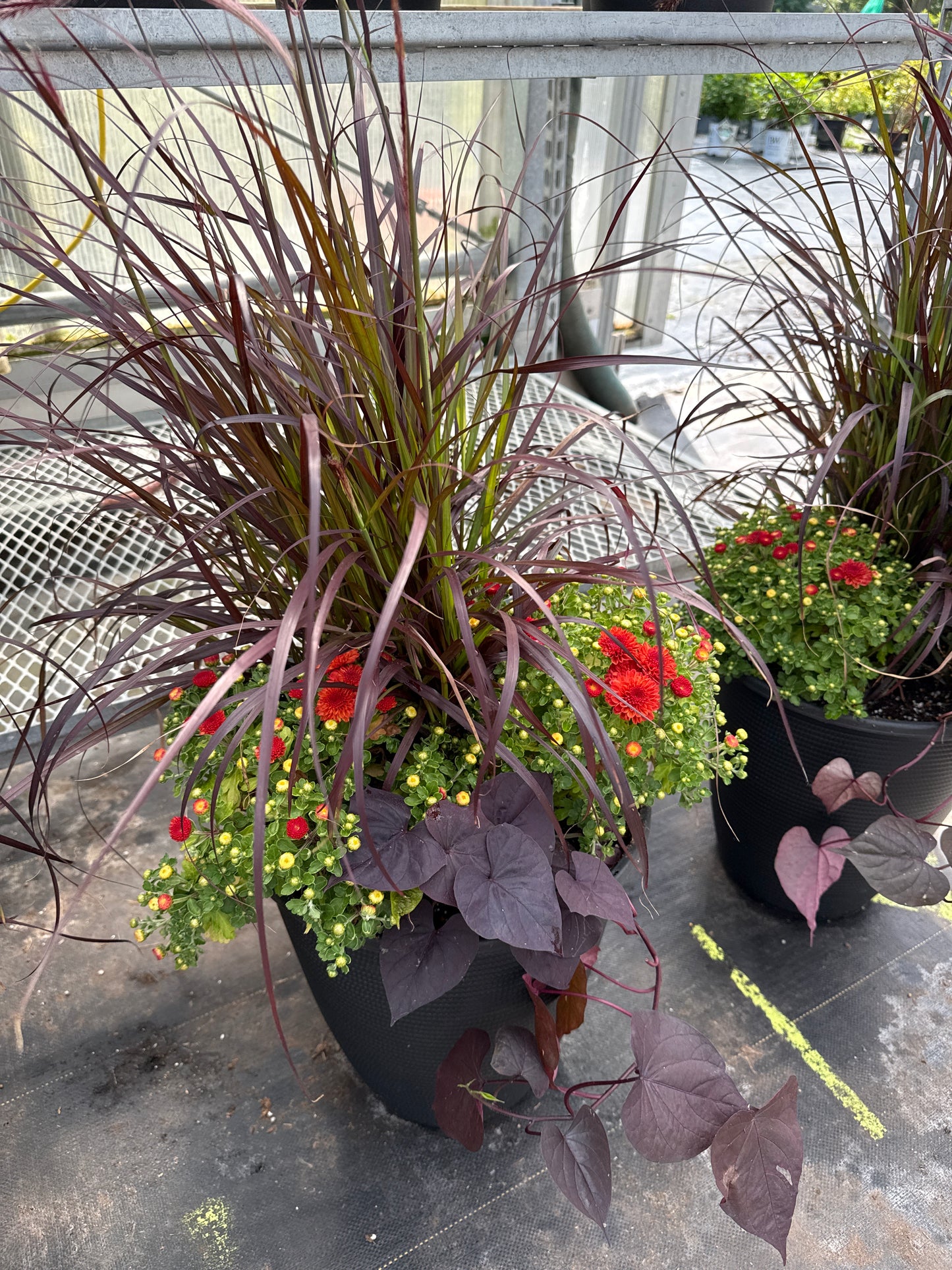 12" Fall Planters