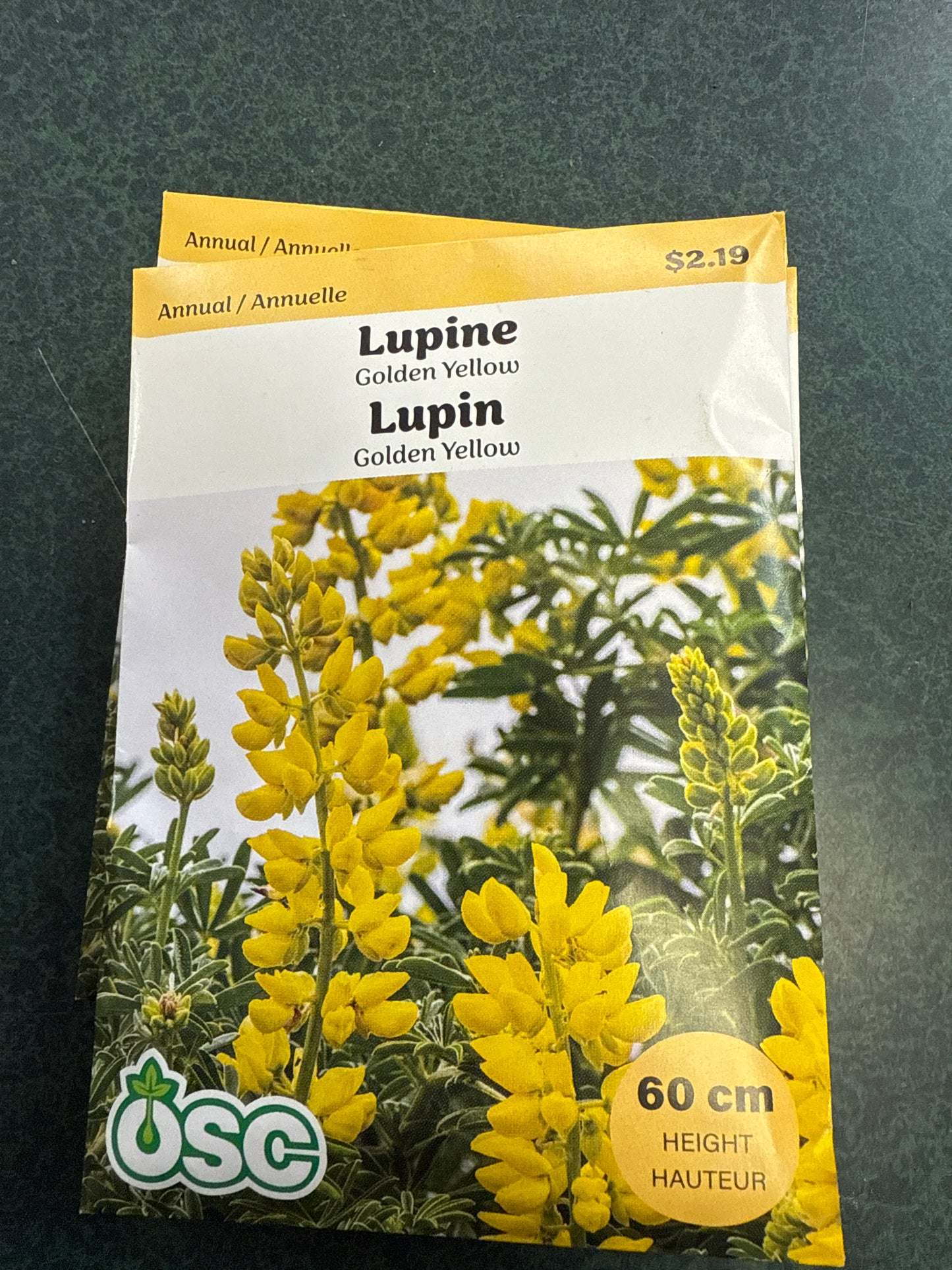Seed Packets - Annuals