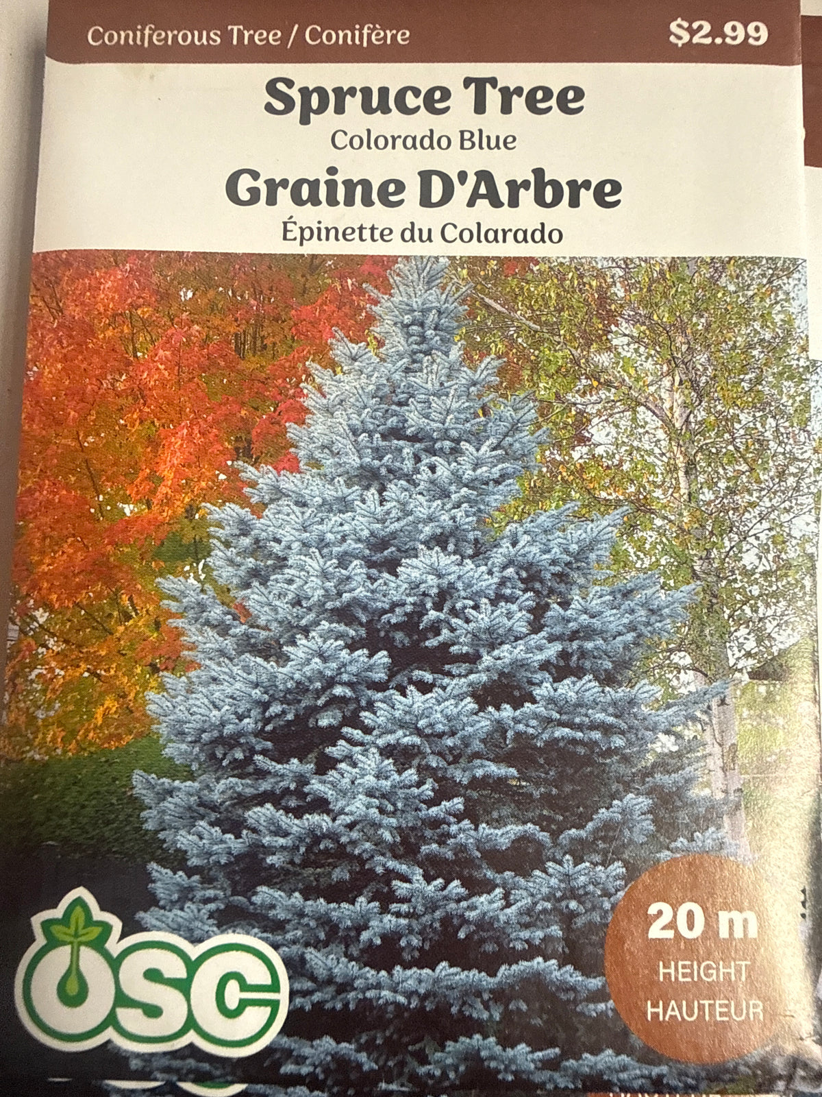 Seed Packets - Coniferous Tree