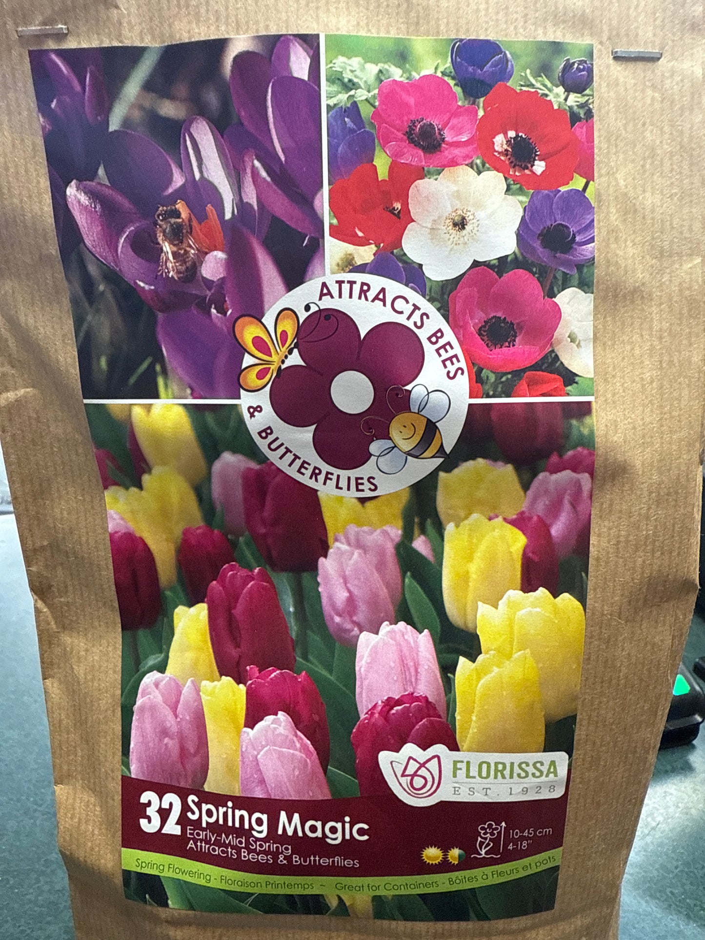 Spring Magic Mix (32 bulbs)