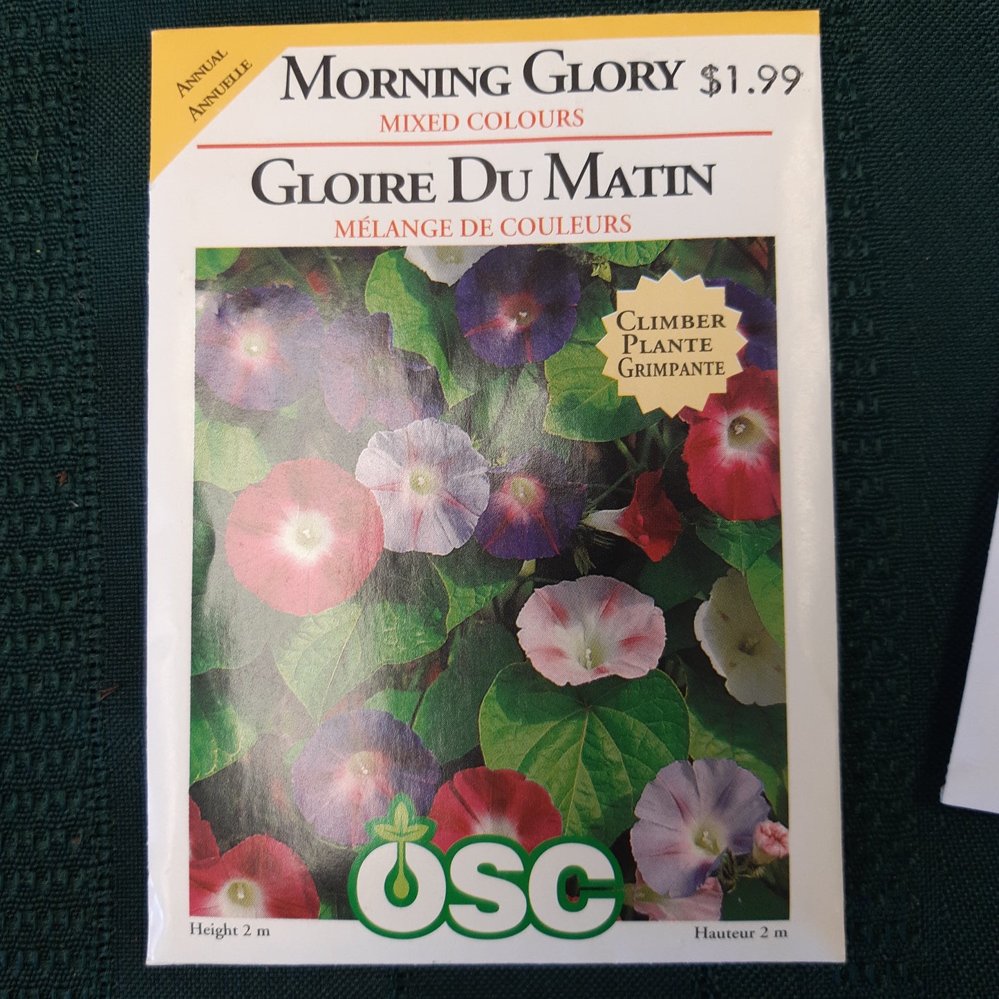 Seed Packets - Annual (Morning Glory)