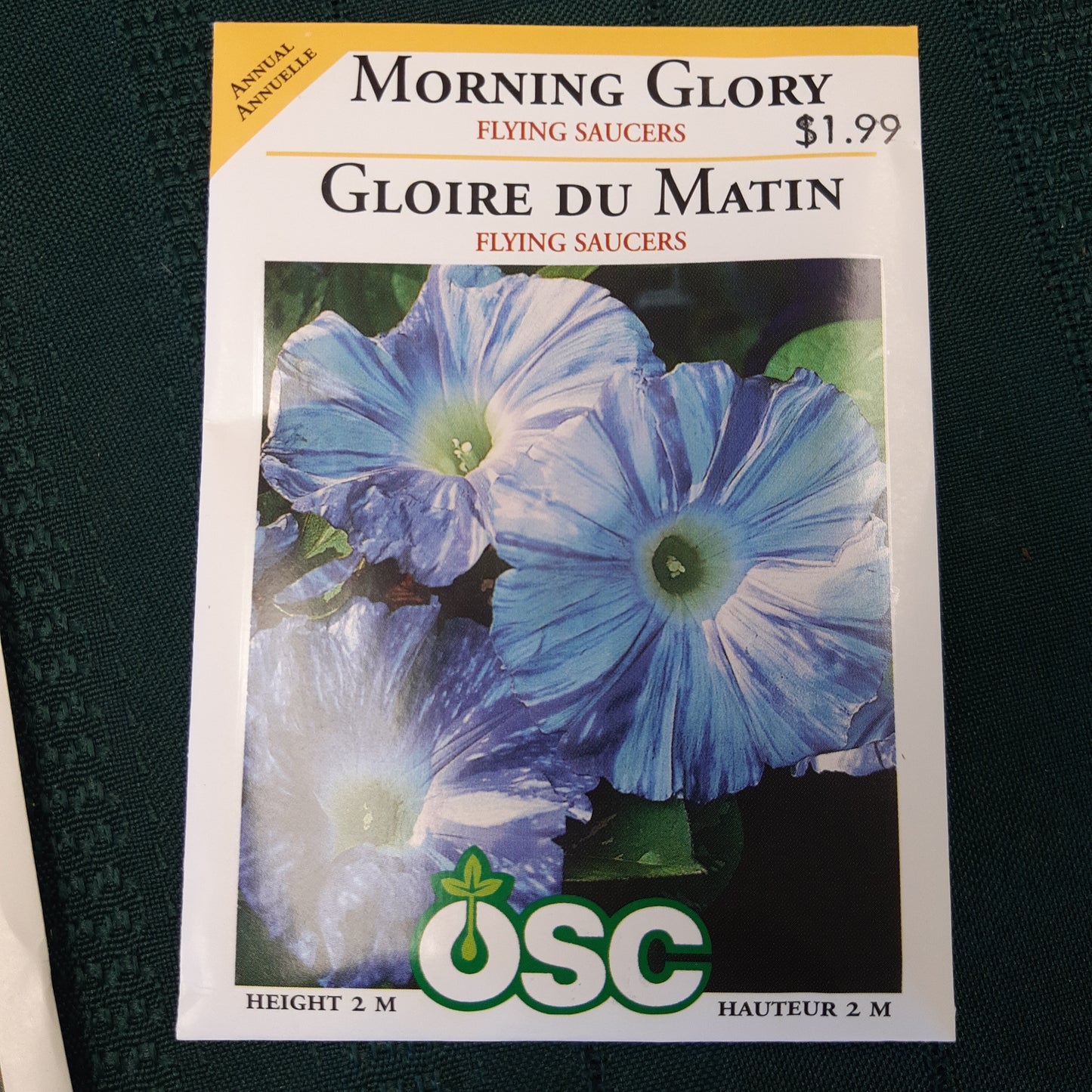 Seed Packets - Annual (Morning Glory)
