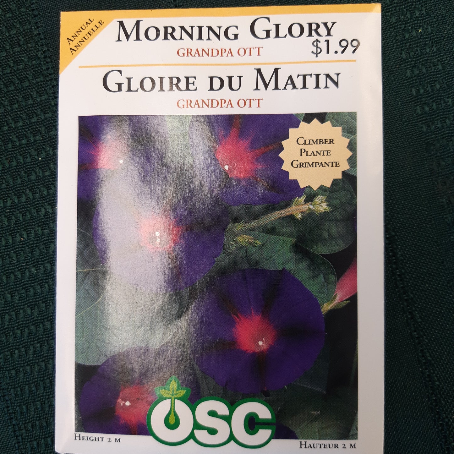 Seed Packets - Annual (Morning Glory)