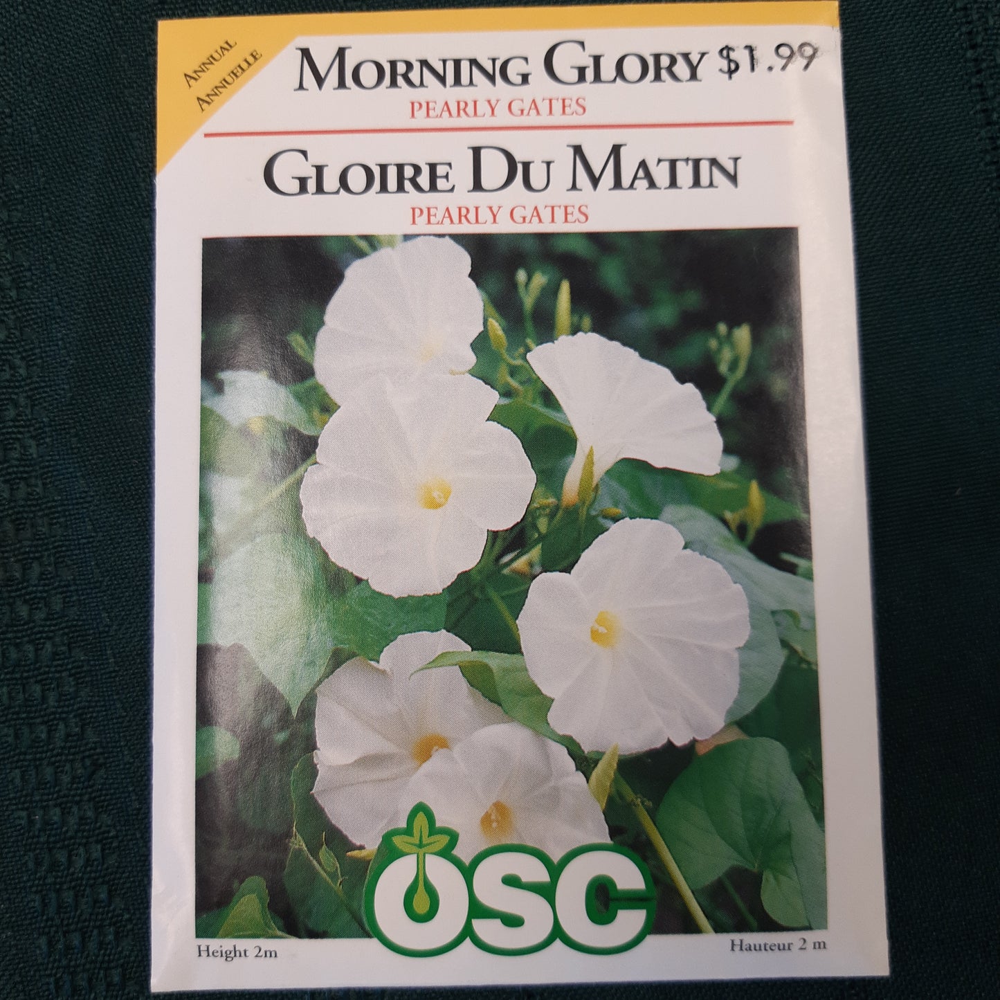Seed Packets - Annual (Morning Glory)
