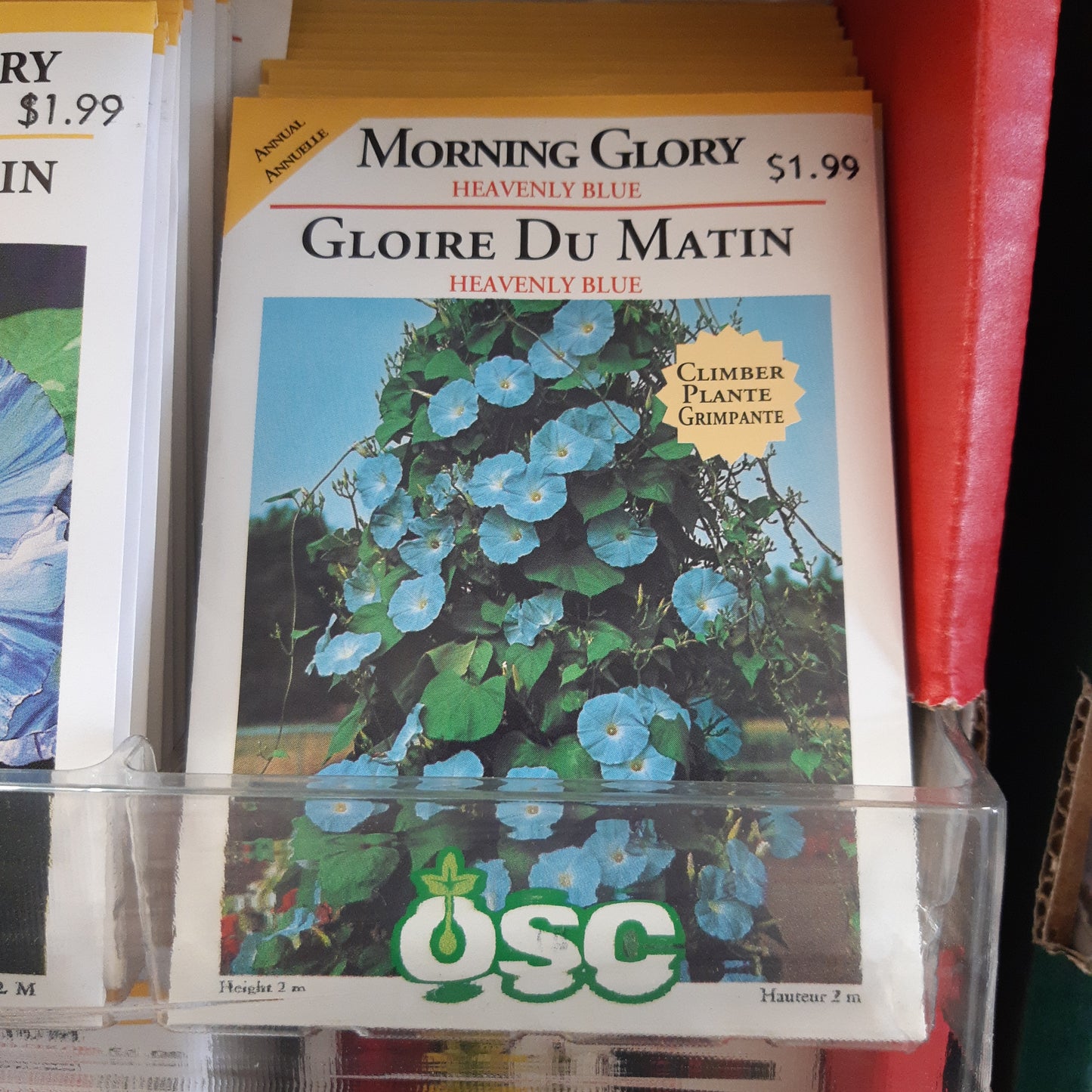 Seed Packets - Annual (Morning Glory)