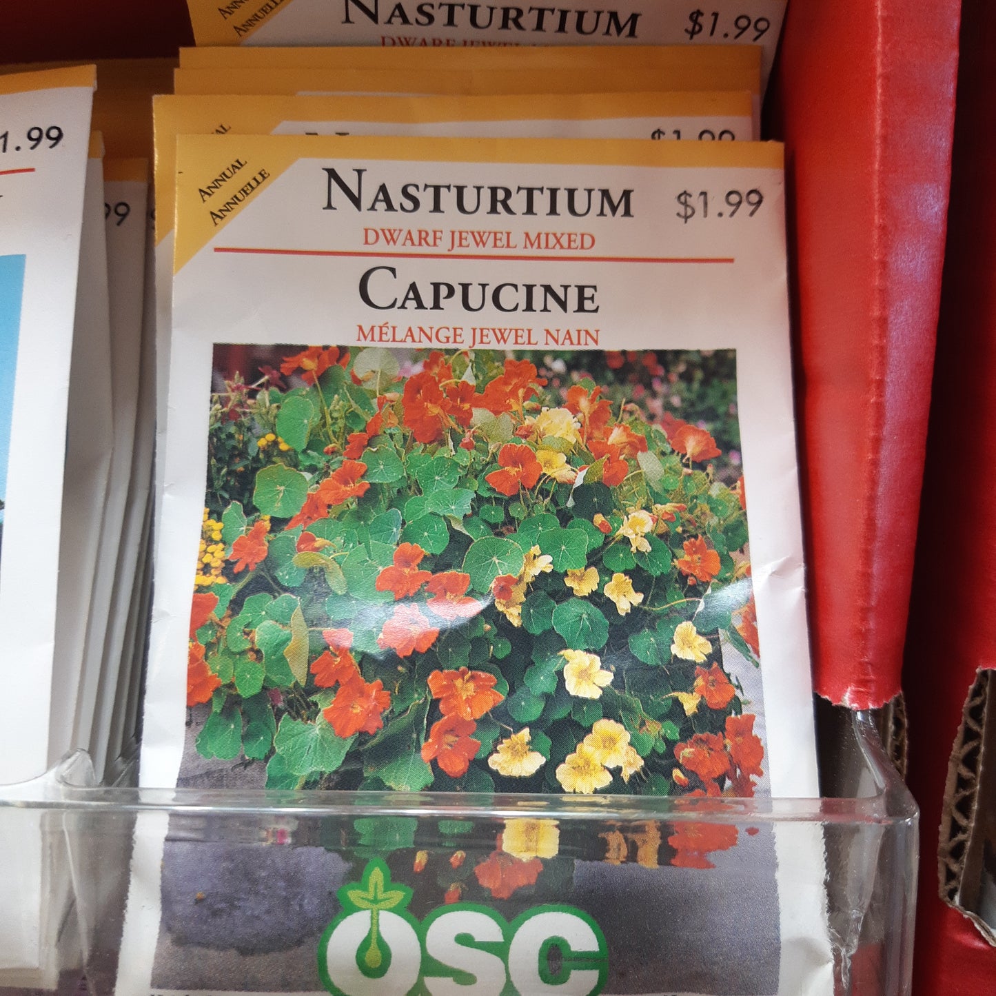 Seed Packets - Annual (Nasturtium)