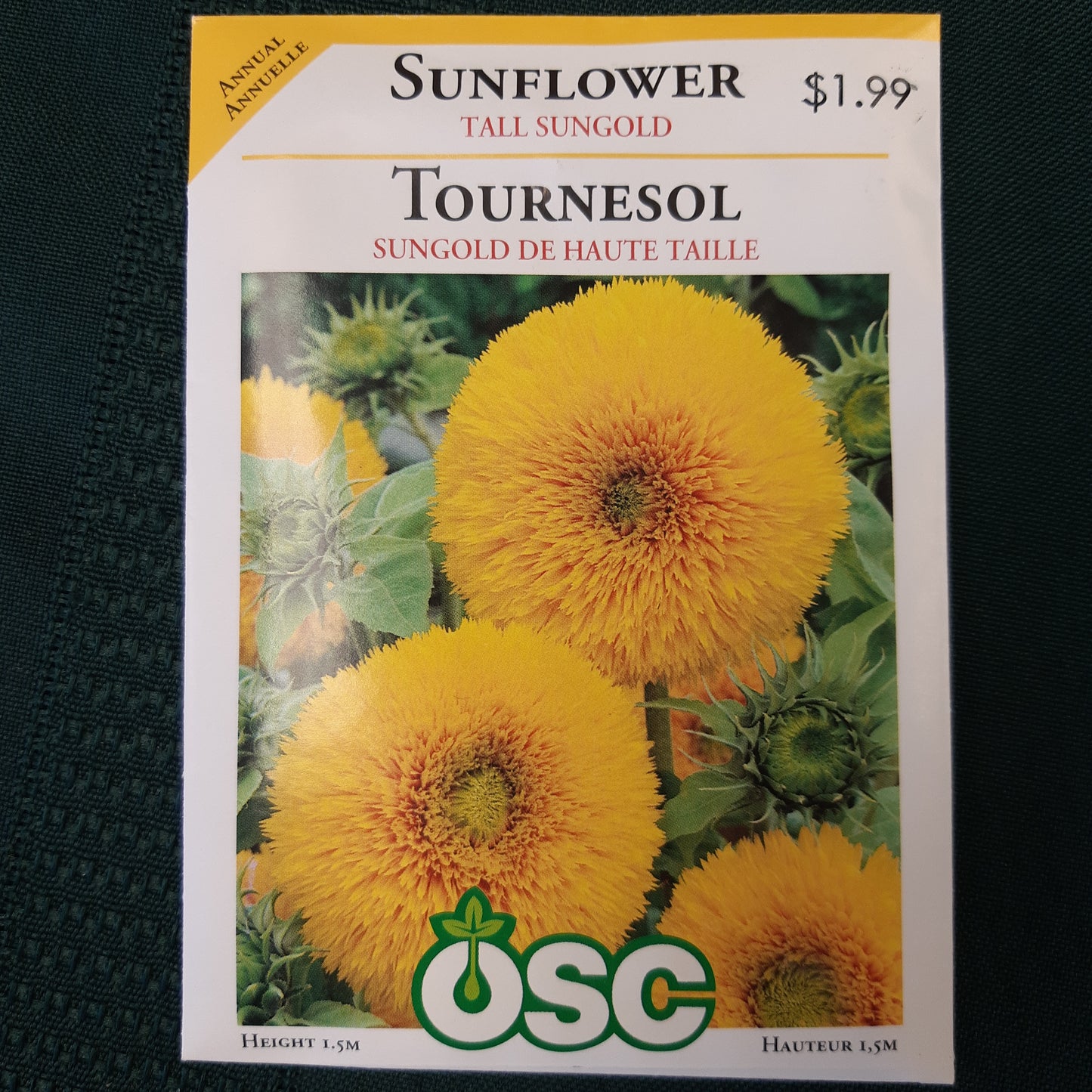 Seed Packets - Annual (Sunflower)