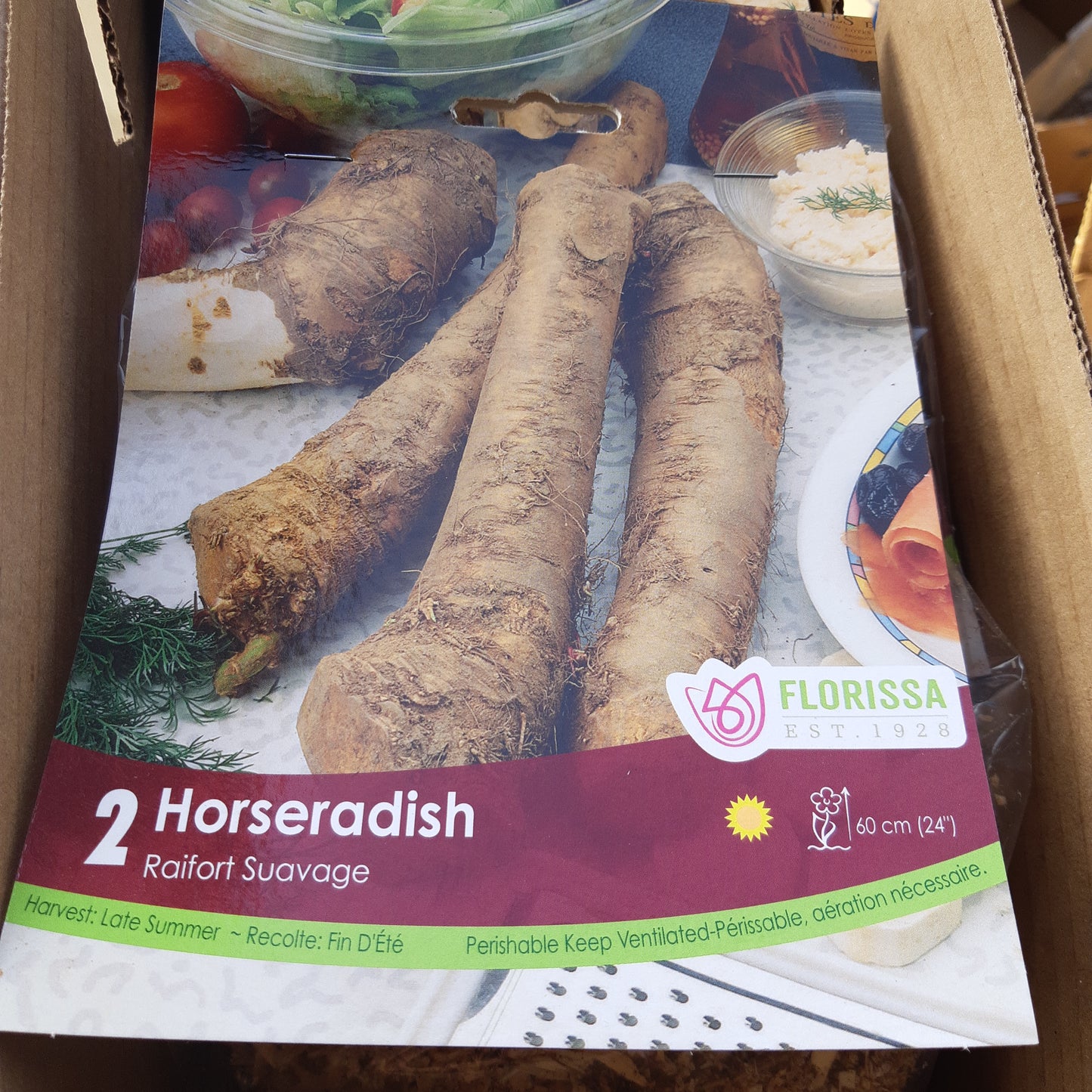Horseradish Root - Package of 2