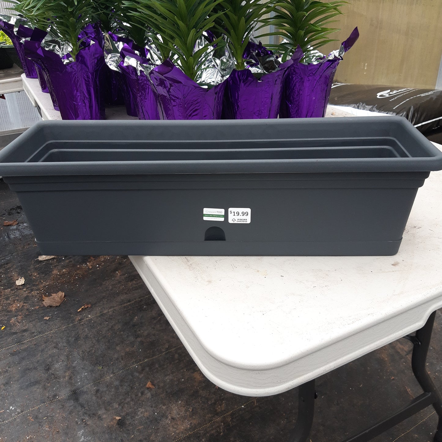 Rectangle Planters with Saucer Attached Various Sizes (Emma)