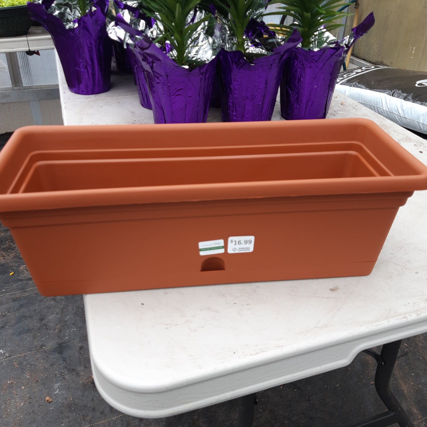 Rectangle Planters with Saucer Attached Various Sizes (Emma)