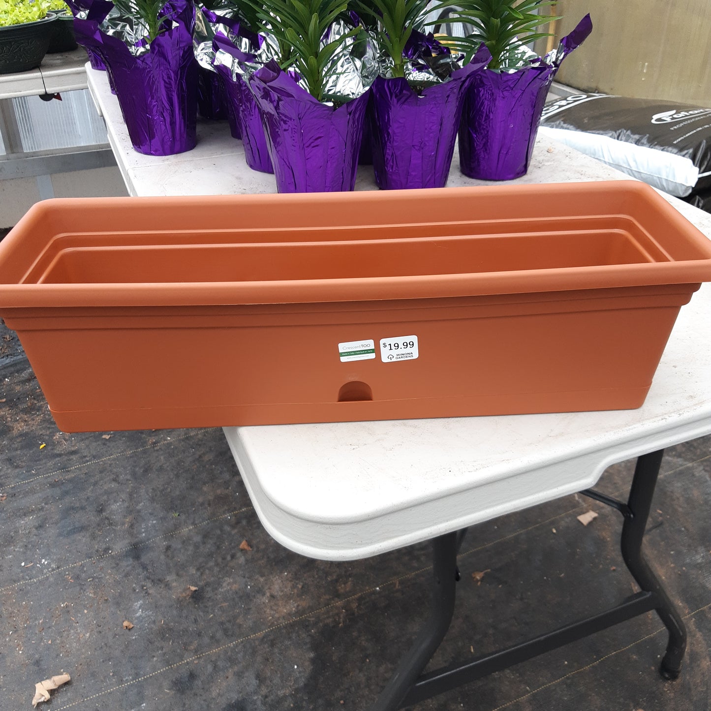 Rectangle Planters with Saucer Attached Various Sizes (Emma)