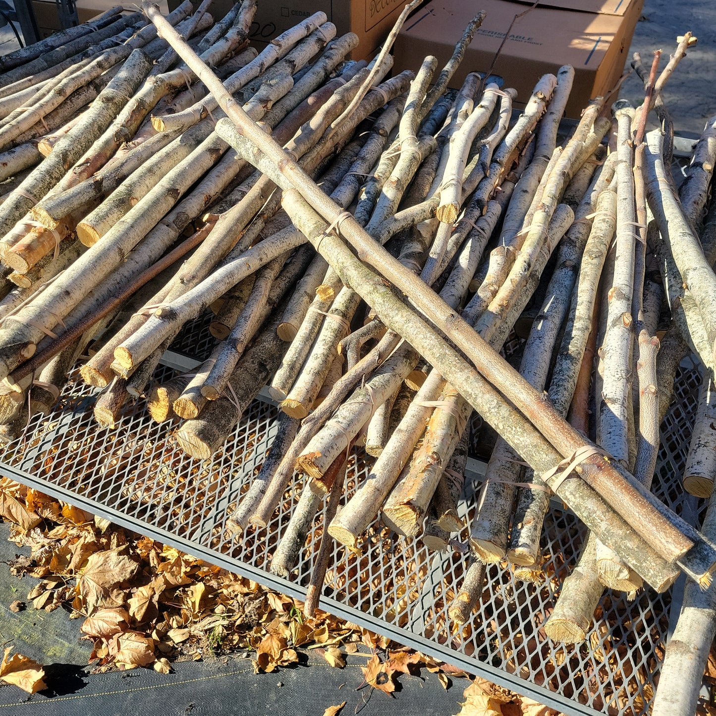Birch Poles