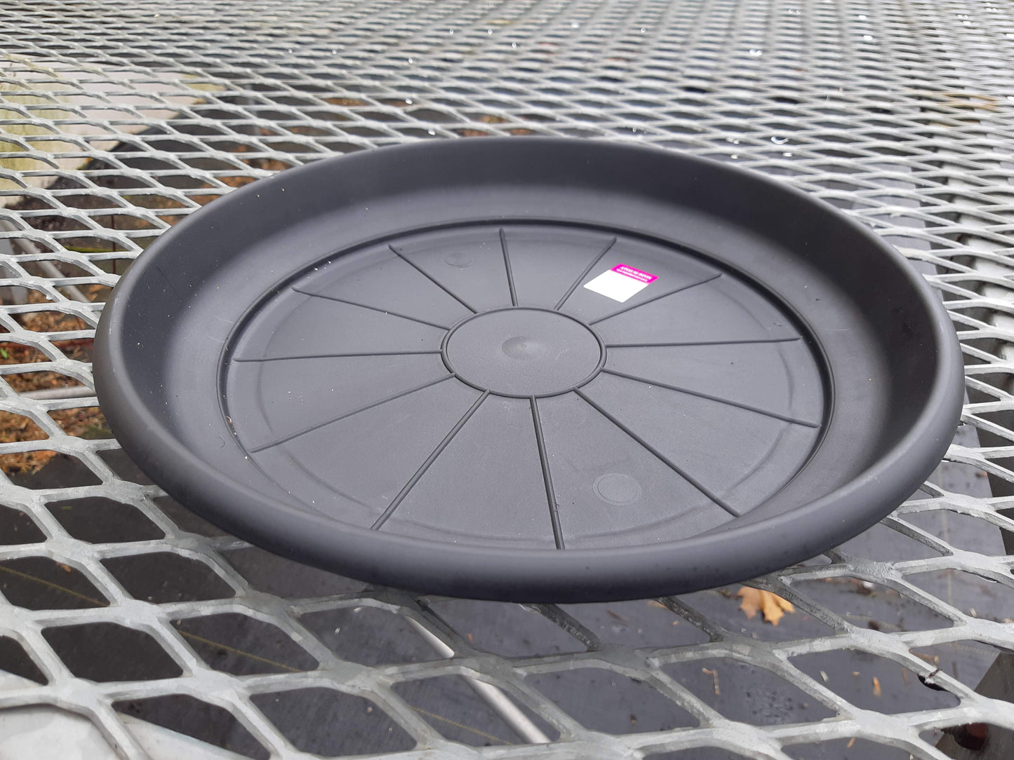 Round Saucers - Clear and Matching Pot Colours