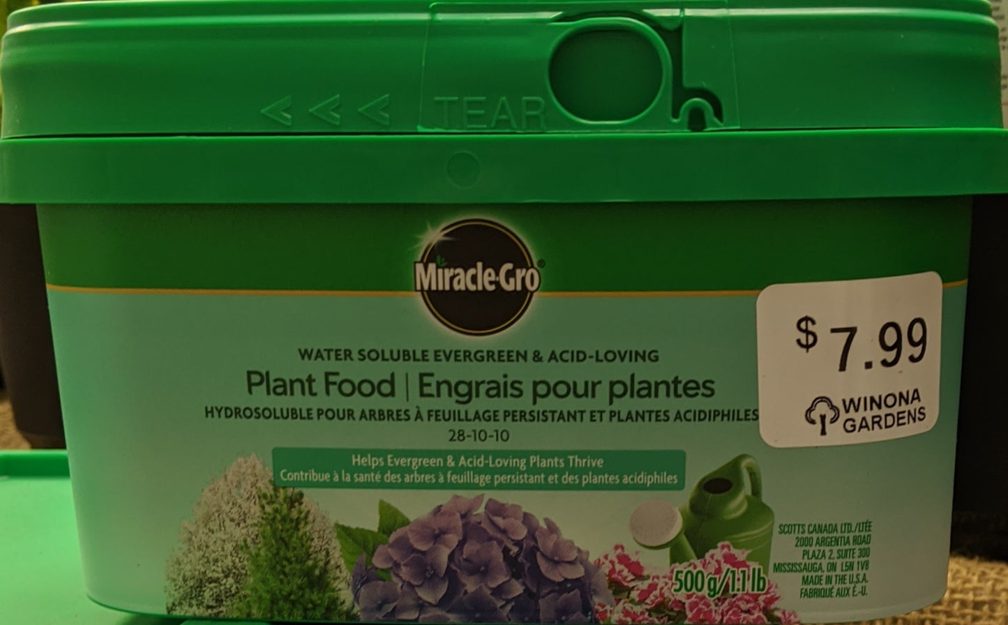 Miracle-Grow Evergreen & Acid Loving Plant Food