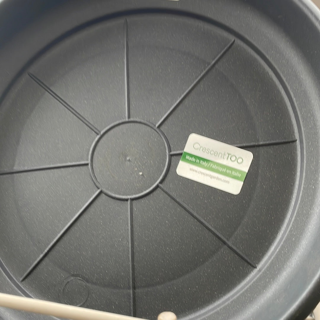 Round Saucers - Clear and Matching Pot Colours
