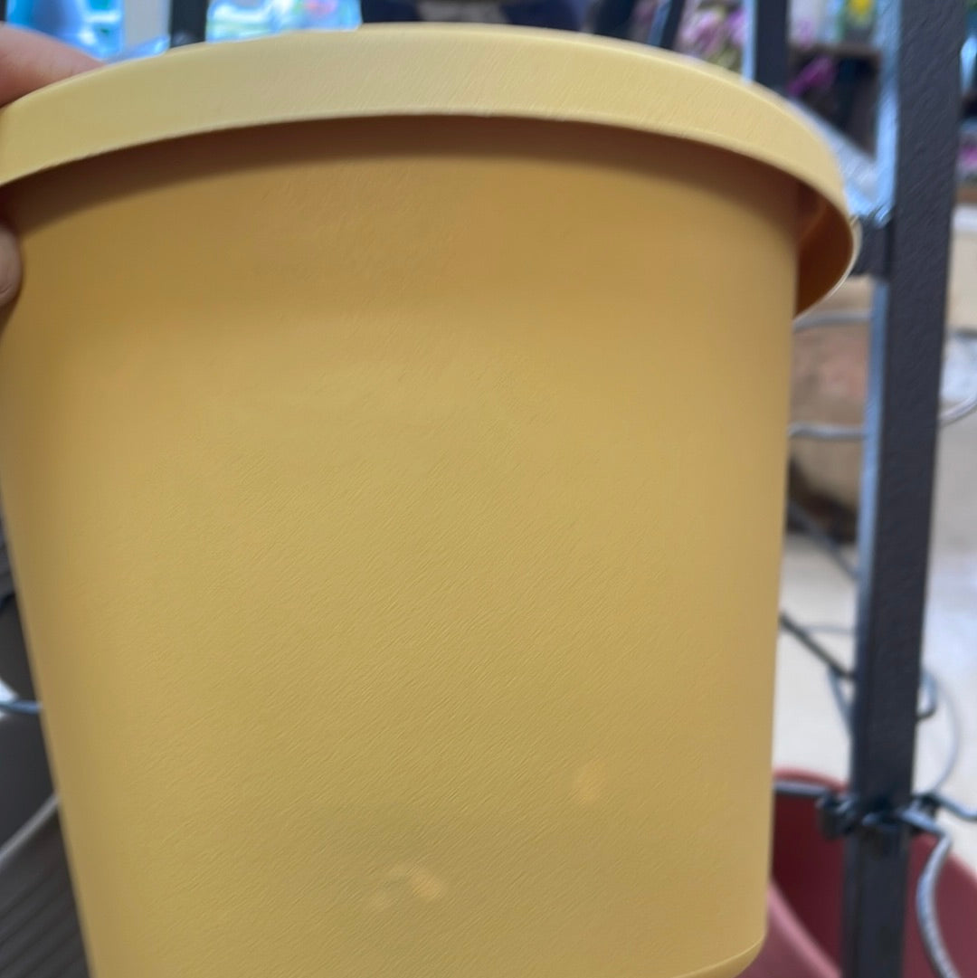 Round Indoor/Outdoor Pots (Prima)