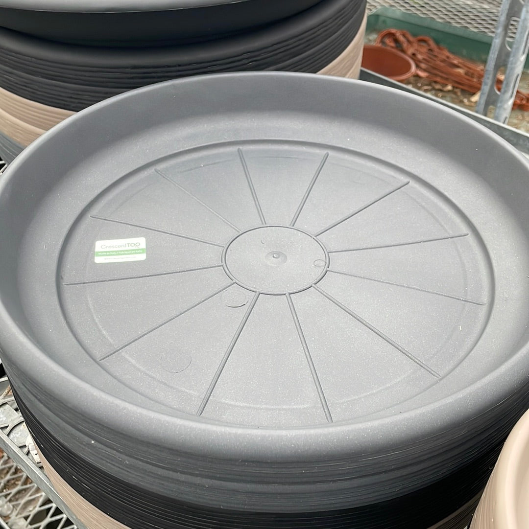 Round Saucers - Clear and Matching Pot Colours