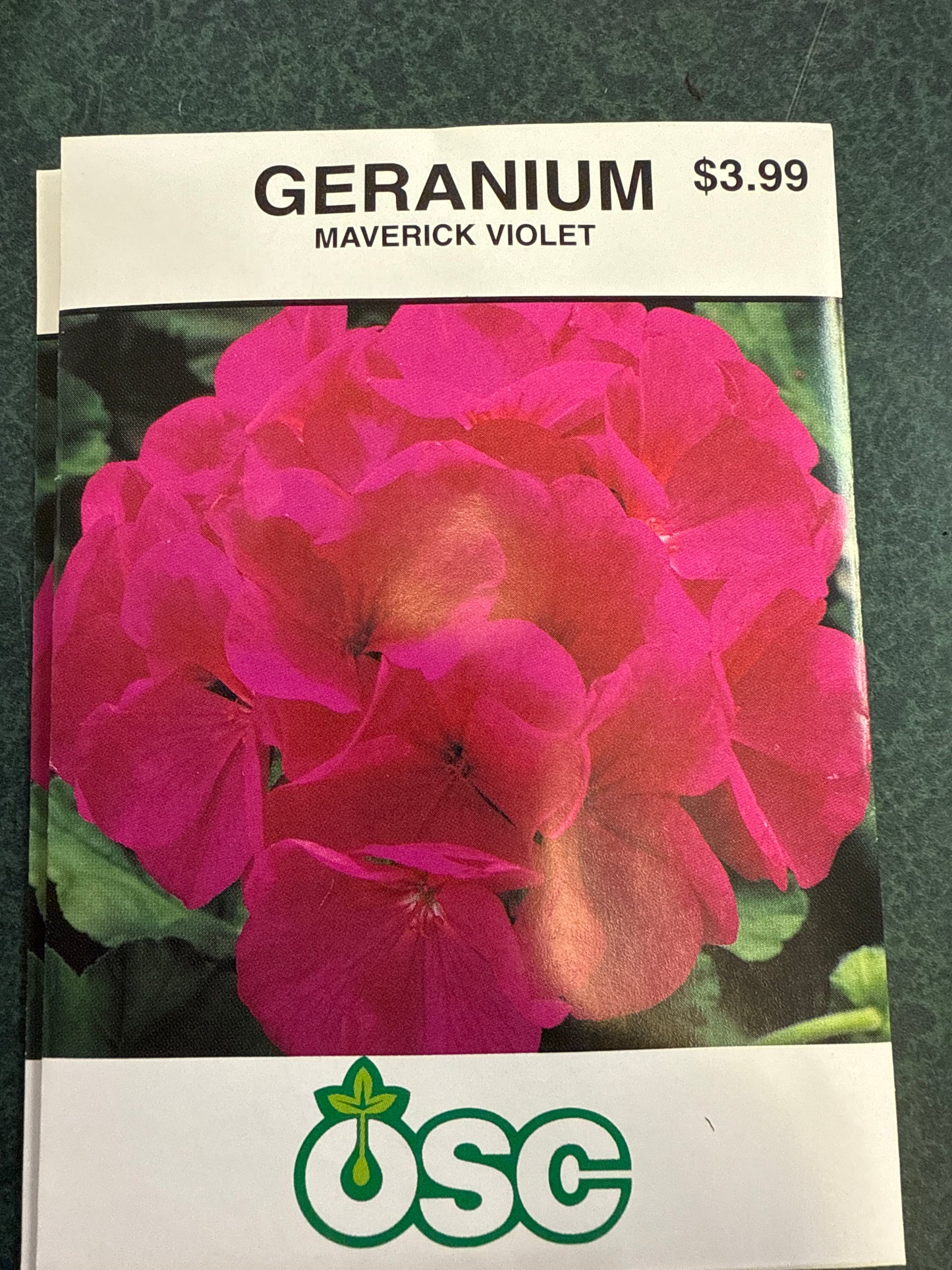 Seed - Annual (Geraniums)