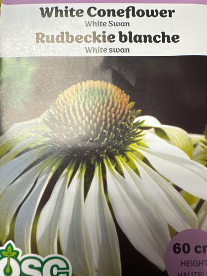 Seed Packets - Perennials