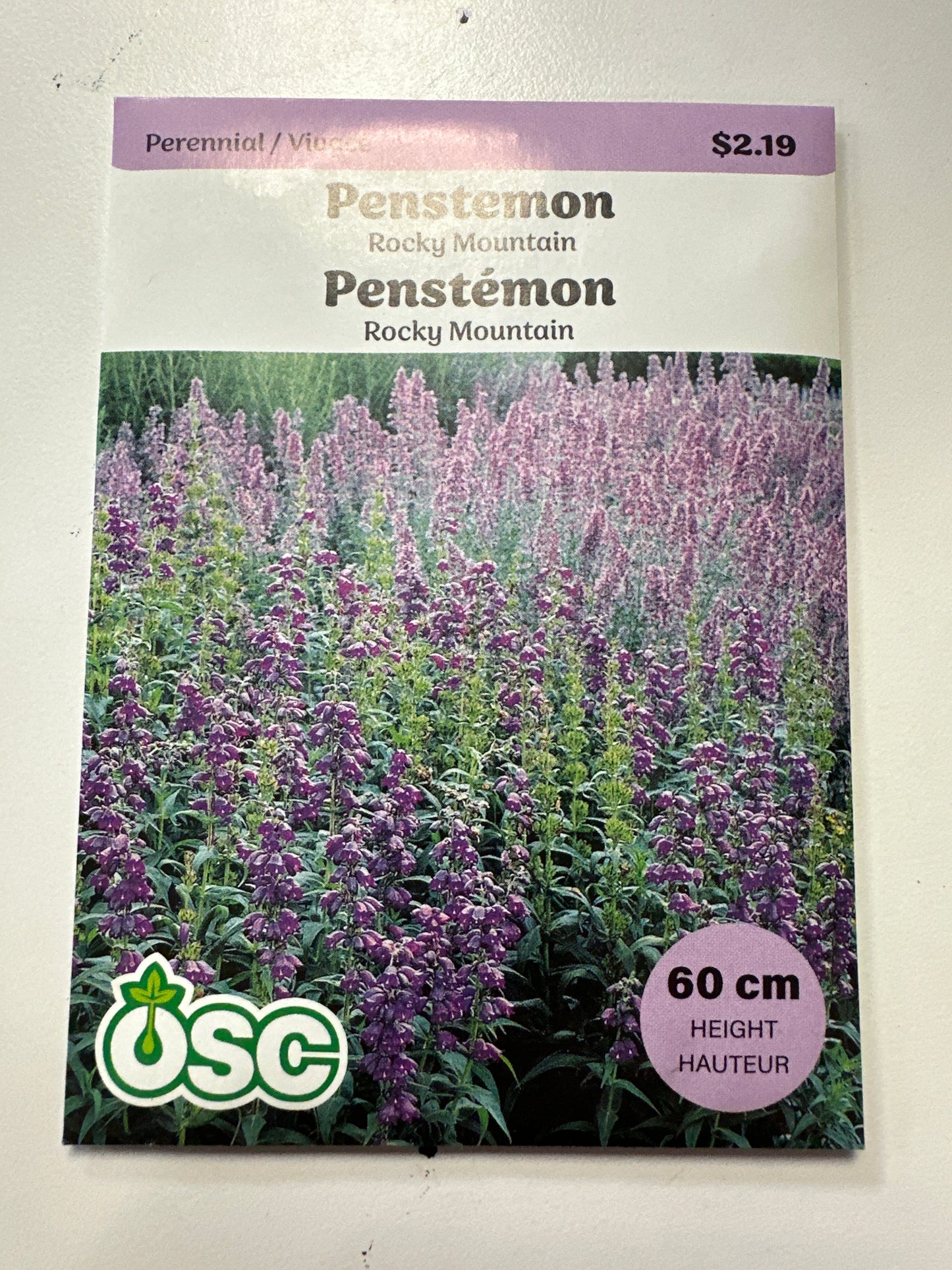 Seed Packets - Perennials