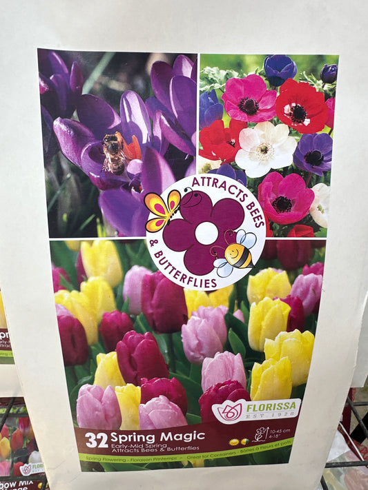 Spring Magic Bulbs - Pollinator Pack