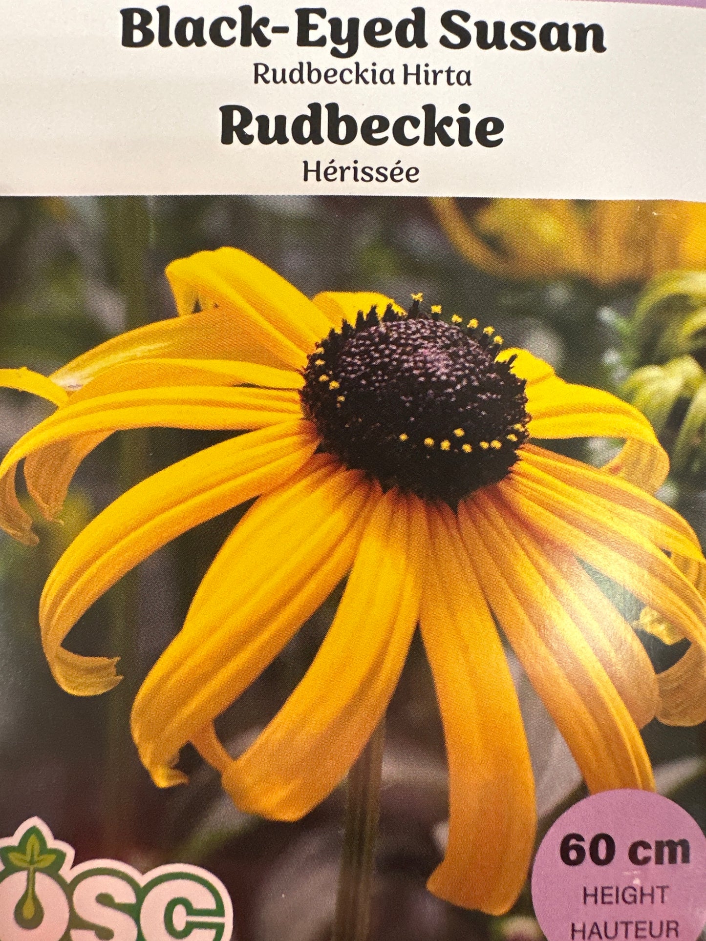 Seed Packets - Perennials