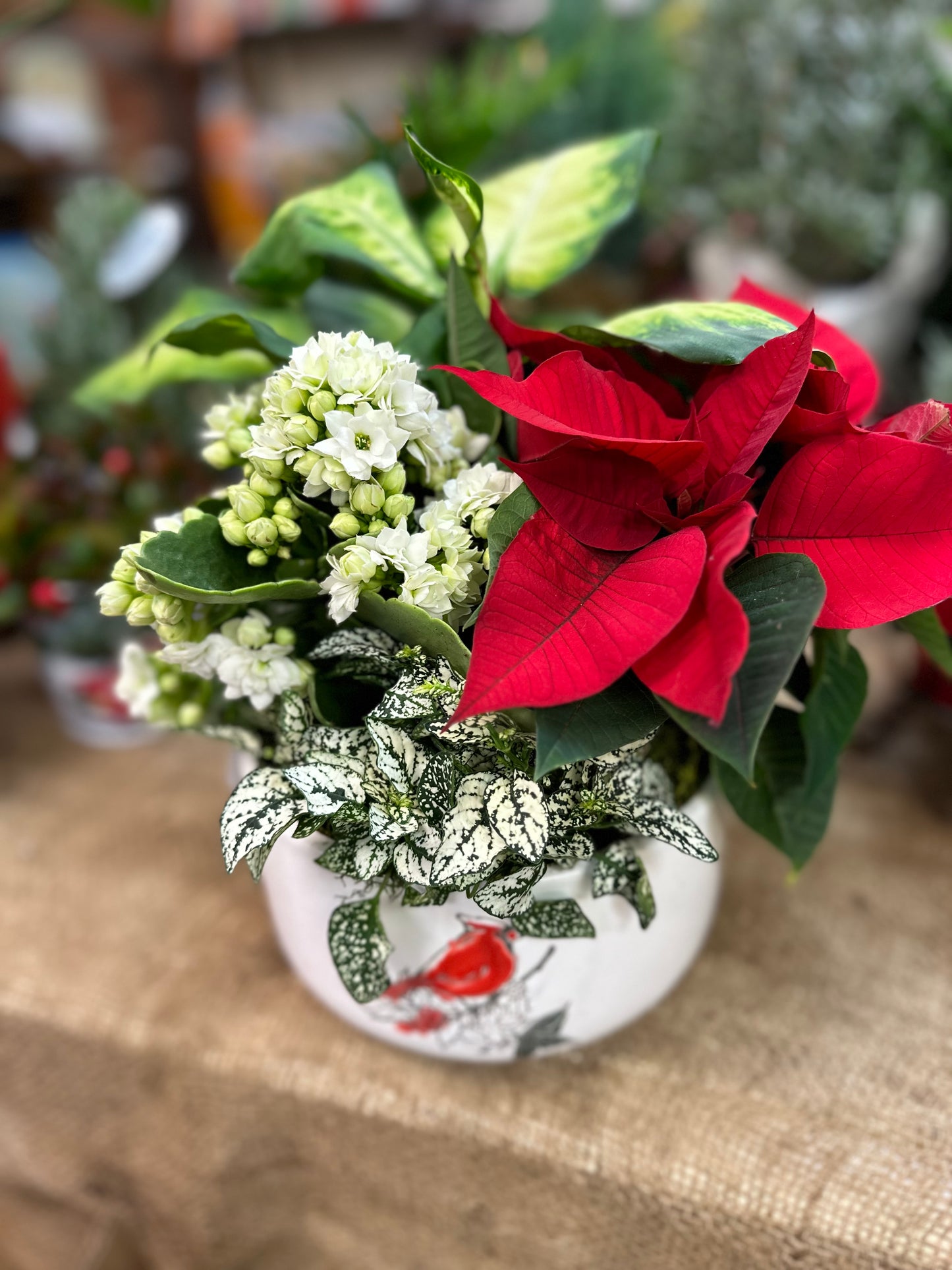 Cardinal Mixed Arrangement (Ceramic)