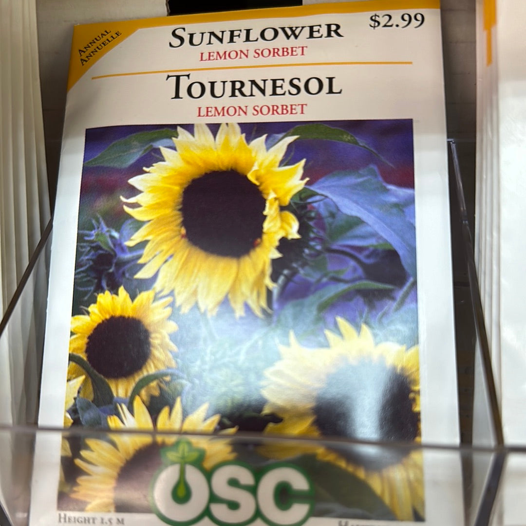 Seed Packets - Annual (Sunflower)