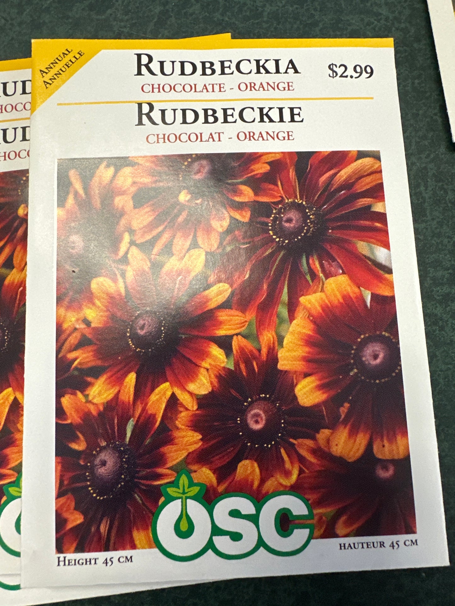 Seed Packets - Annuals - Rudbeckia