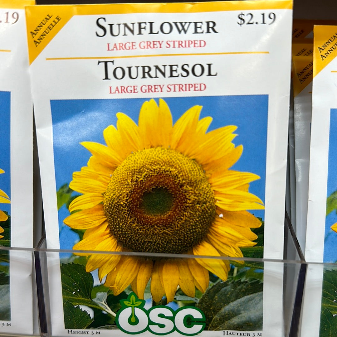 Seed Packets - Annual (Sunflower)