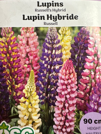 Seed Packets - Perennials