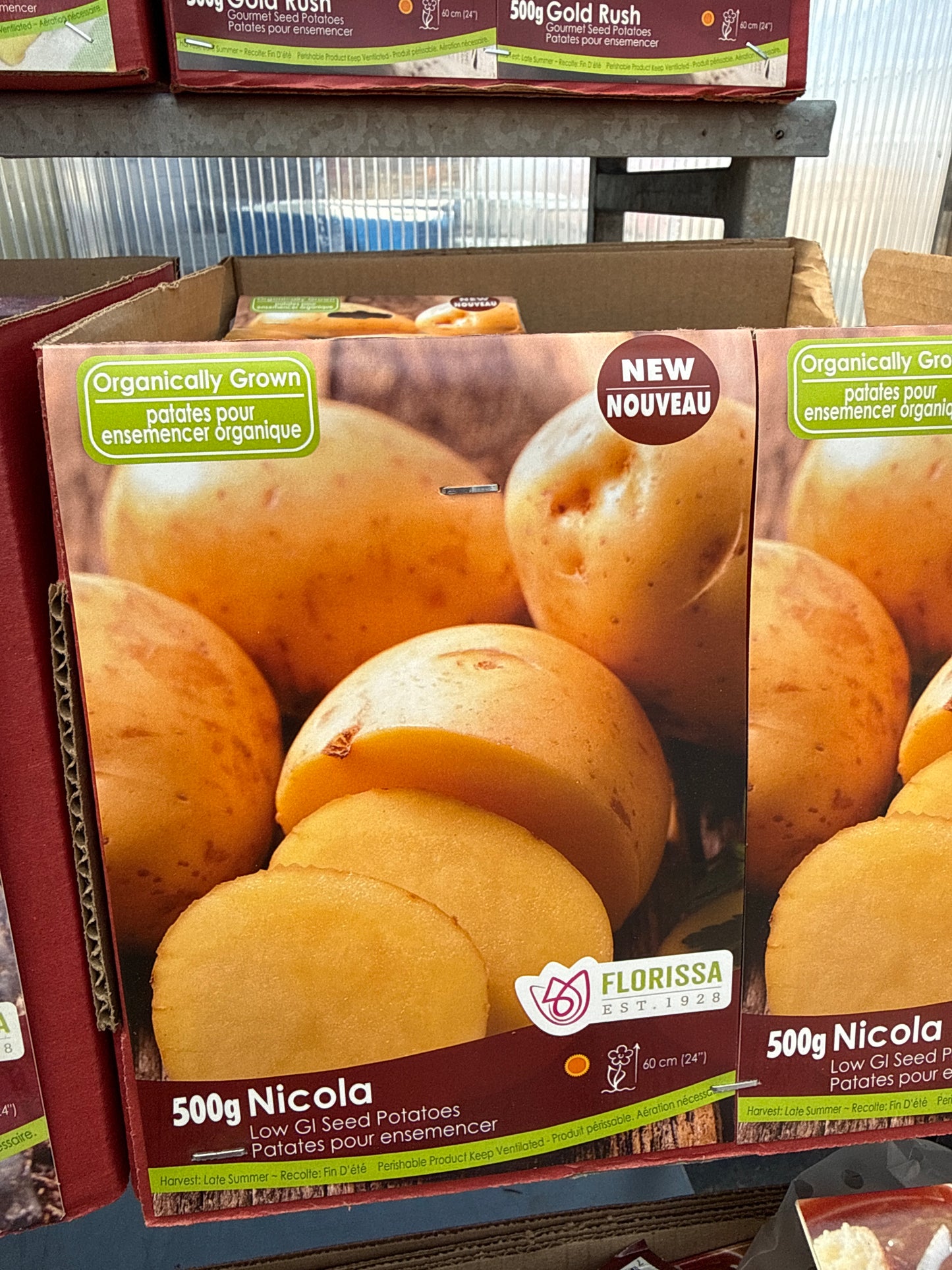 Organic Seed Potatoes