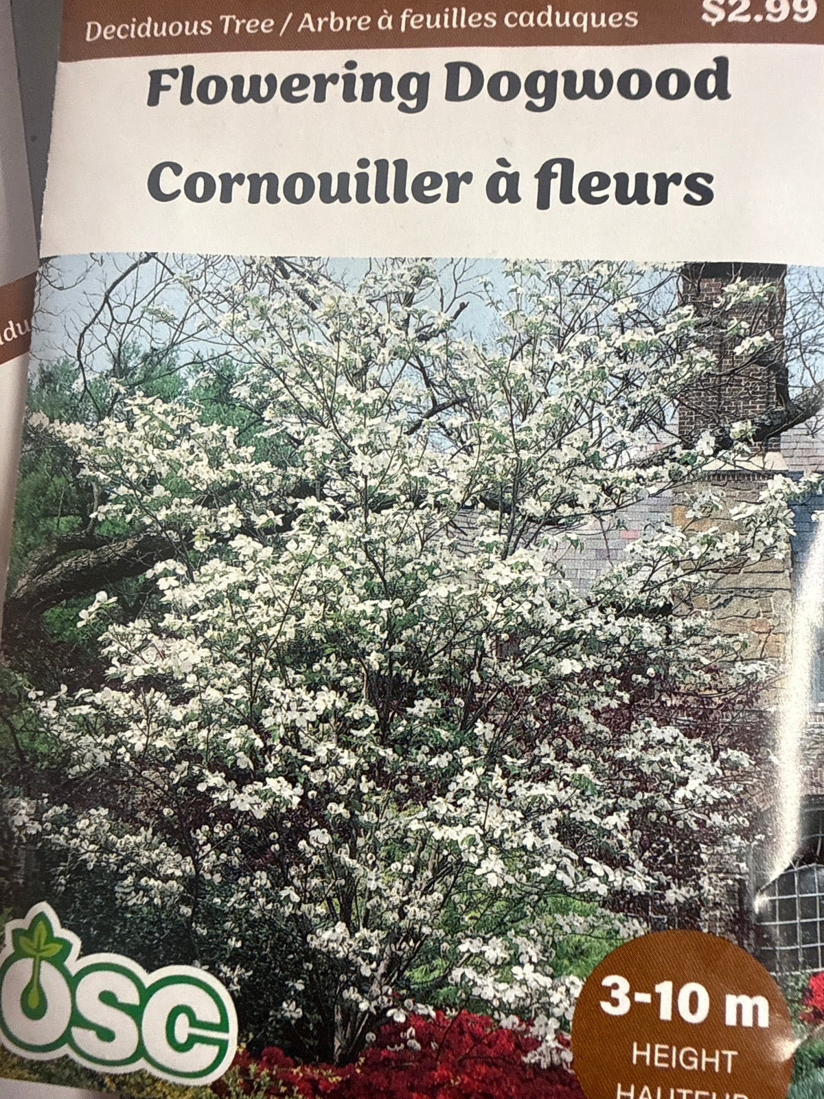 Seed Packets - Deciduous Tree