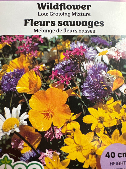 Seed Packets - Perennials