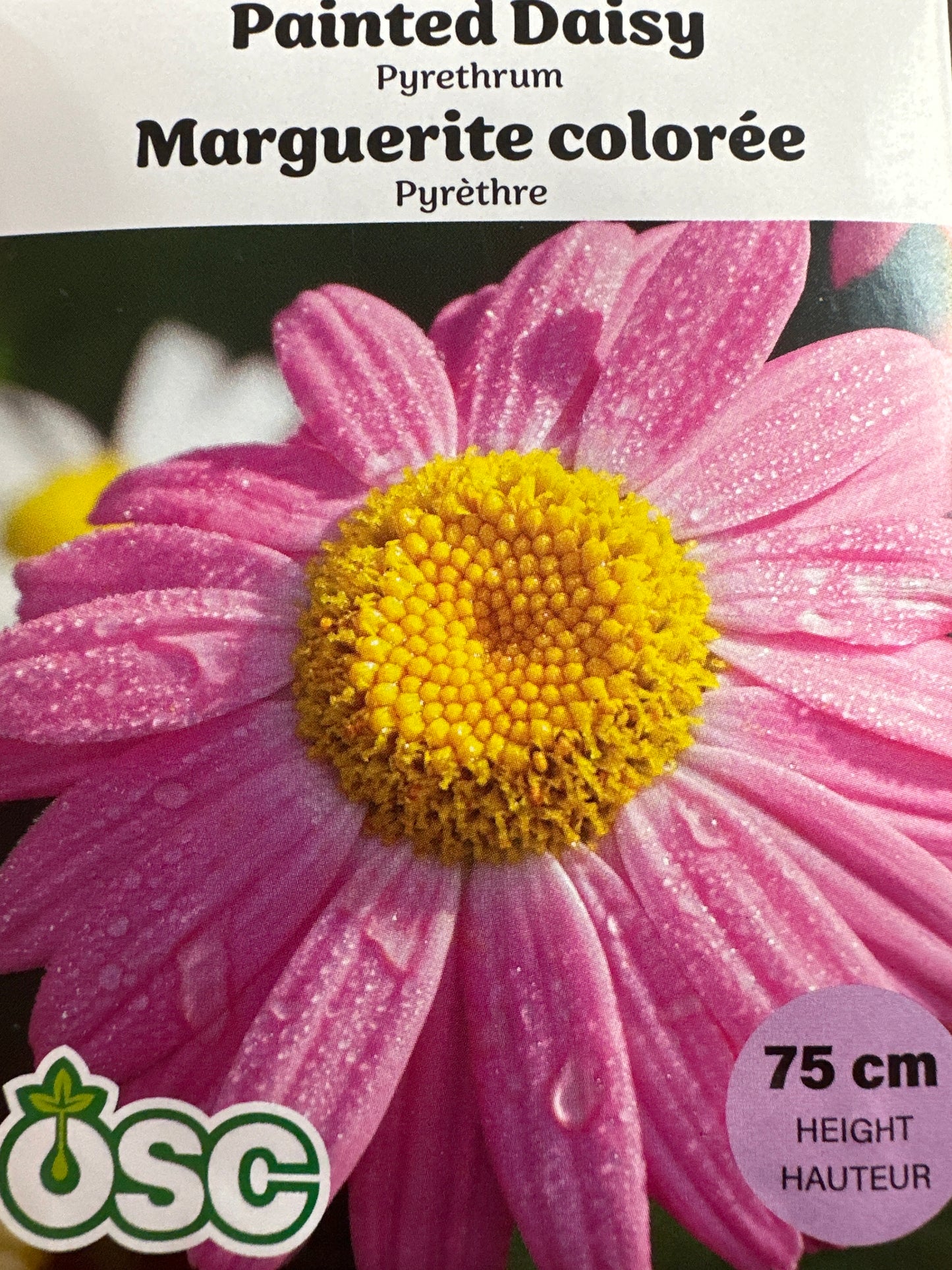 Seed Packets - Perennials