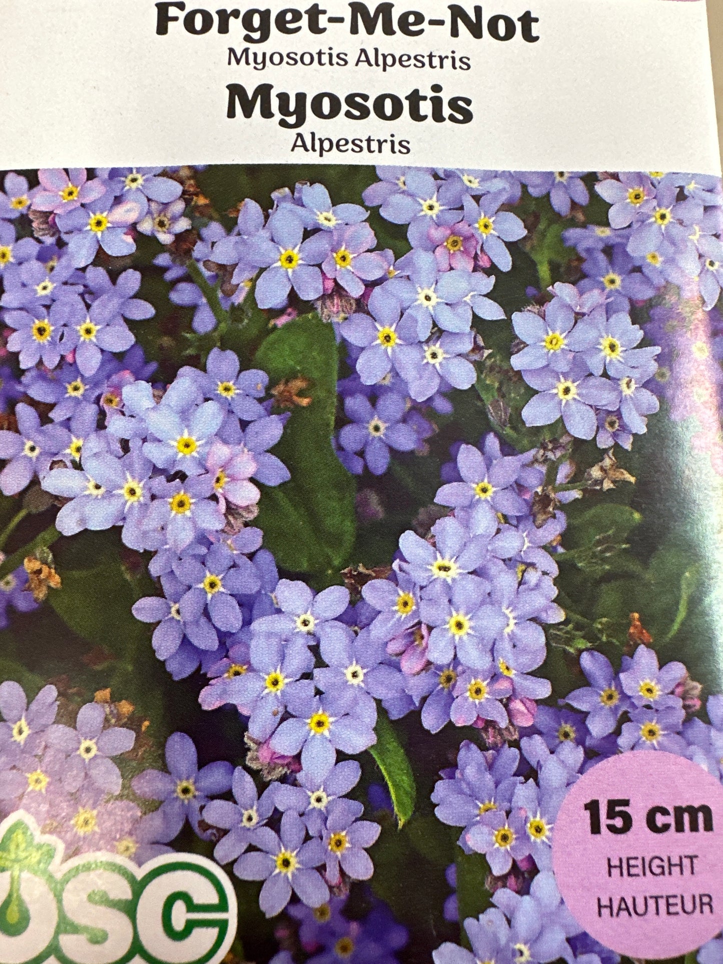 Seed Packets - Biennial