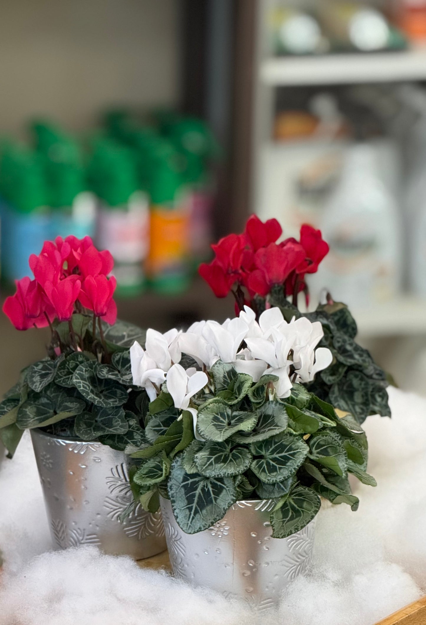 Ceramic Snowflake Pot